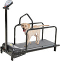 Cinta de correr para perros: funcionamiento silencioso, ajustable, velocidad ajustable