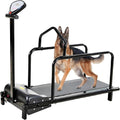 Cinta de correr para perros – funcionamiento silencioso, ajustable, velocidad ajustable