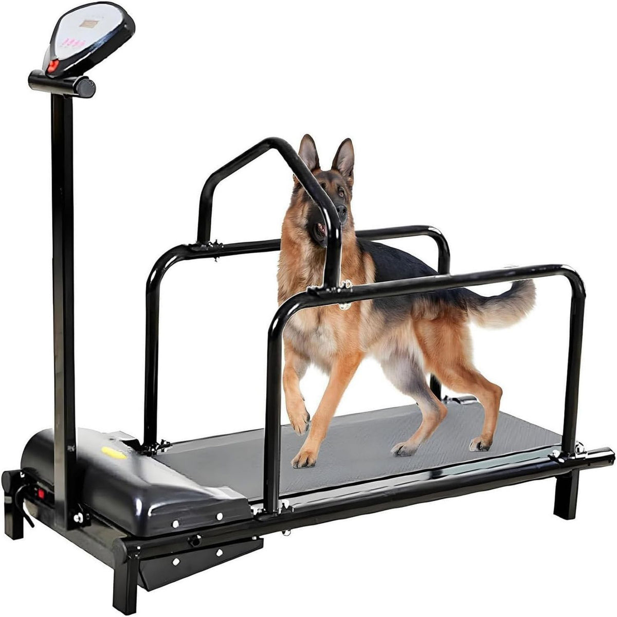 Cinta de correr para perros – funcionamiento silencioso, ajustable, velocidad ajustable